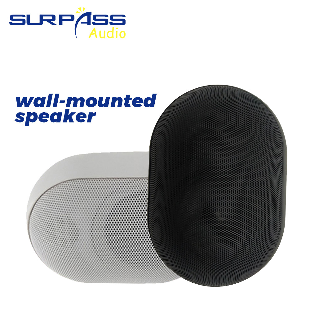 Audio Music Background Free - 30W 벽걸이형 스피커 방수 IP55 공공